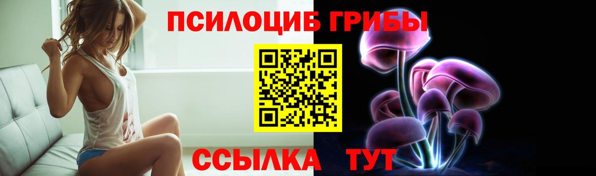Галлюциногенные грибы мицелий  Вход с VPN  Оренбург 
